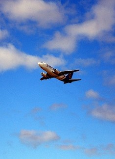 Single Trip Travel Insurance